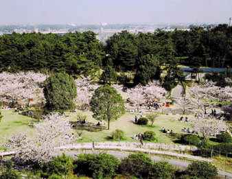 日岡山公園